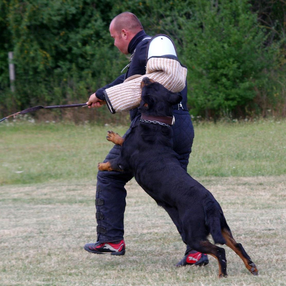 Training Foto